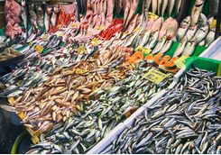 Fish Market