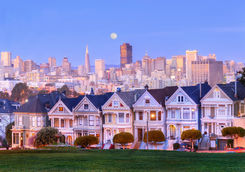 Painted Ladies in moonlight