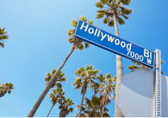 Hollywood Blvd