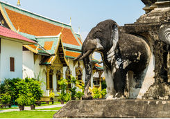 wat chiang man