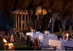 Dinner hotel