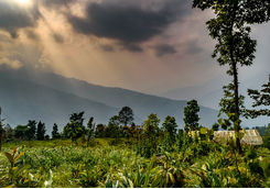 Kalimpong way, Darjeeling
