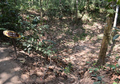 Vietnam war bomb