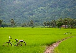 Chau Doc Bike