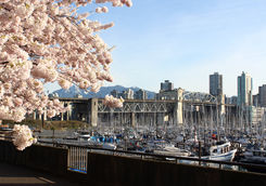 Vancouver city tour