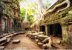 Angkor Wat Cambodia Ta Prohm Khmer Temple