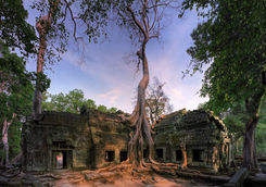Ta Prohm before sunset
