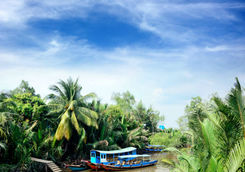 Wooden boats in Mekong