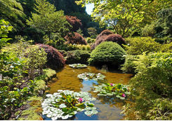 Pond in Butchart Gardens