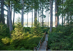 Pacific Rim National Park Reserve