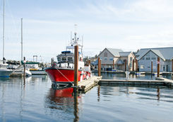 Marina on the Campbell River