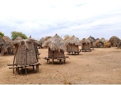 ethiopia stock
