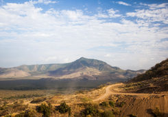 mago np landscape