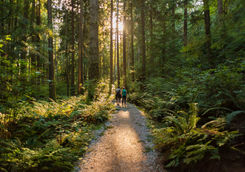 Couple hiking through the woods