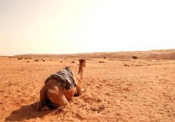 Camel in the Wahiba Sands