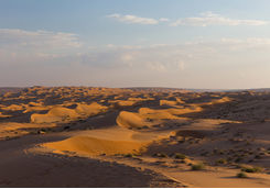 Wahiba Sands view