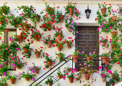 cordoba wall