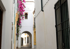 street jewish quarter