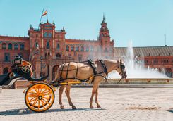 Horse carriage in Seville