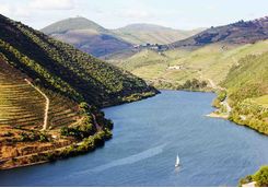 Sailing on the Douro valley