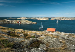 Sailboat sea landscape