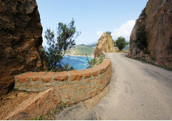 Corsica Road