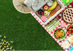 Picnic lunch