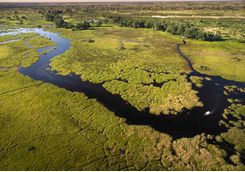 Duba Plains camp area