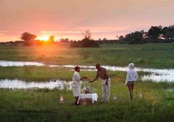Delta sundowners