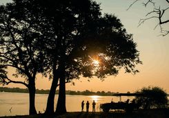 Zambezi sundowners
