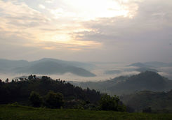 Morning mist over Bwindi forest