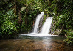 Waterfall in Ugandan forest