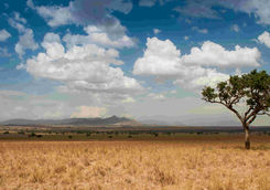 Kidepo landscape