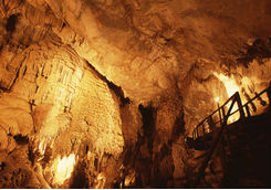 Stalactites in cave