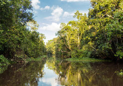 Kinabatang wetlands