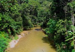 River Annah Rais