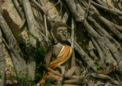 Gaya Island Buddha