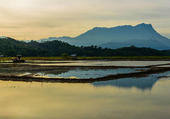 Mount Kinabalu
