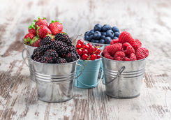 Berries