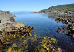 Bruny Water