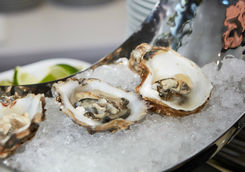 Oysters