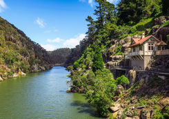 Launceston