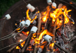 Marshmallow Camp