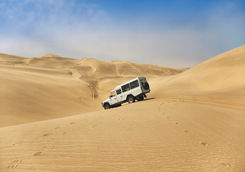 4x4 skeleton coast