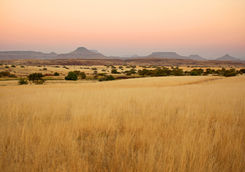 palmwag landscape