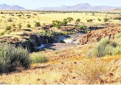 palmwag landscape