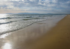 beach comporta