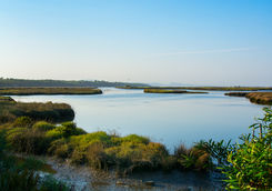 river comporta