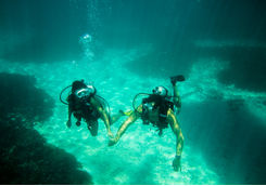 couple diving underwater