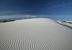 Sand dune Hoop reserve